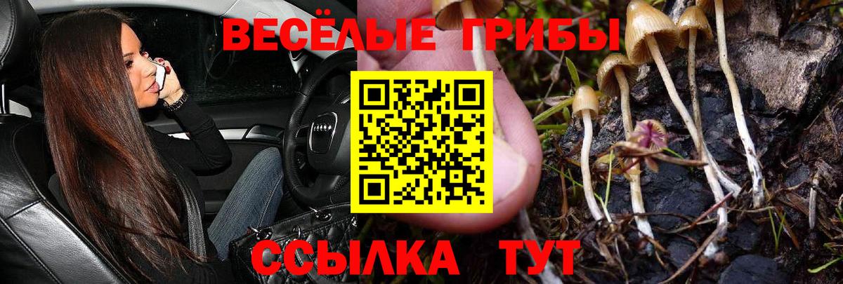 Псилоцибиновые грибы Magic Shrooms Клин